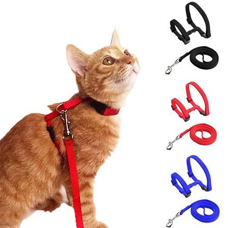 Kattsele Som Är Enkelt Och Justerbart Röd