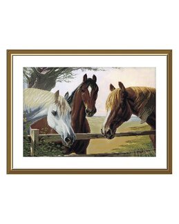 Broderikit Billede Heste - Nova Sloboda