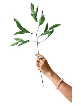 Studio About | Paper Flower, Branch With Detailed Leafs, Green | 22X51CM