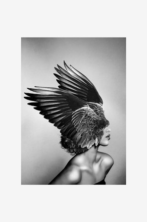 Malerifabrikken - Poster Diana - Svart - Postere - Fra Homeroom