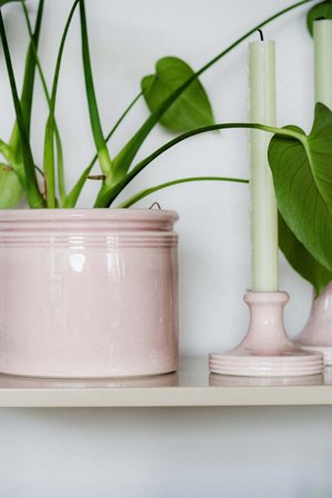 UND Legacy Krukke Soft-Rose H16