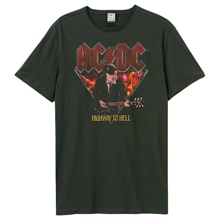 Amplified Unisex Vuxen Highway To Hell AC/DC T-shirt S Kol