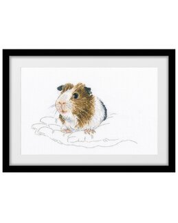 Stickpackung Bild Meerwschweinchen