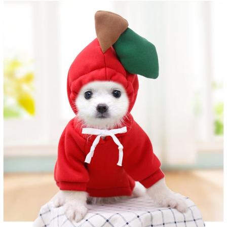 Kjæledyrsklær Høst og vinter Valp Hund Teddy Katt pluss fløyels hettegenser Kjæledyrsutstyr Hvit reddik Red Apple sweater m