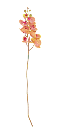 Villa Collection Kunstig Blomst Orkide-Fersken H102