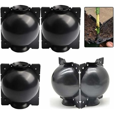 Plant Grafting Box, 4-delars rotningsset för trädgårdsförökning och tillväxt