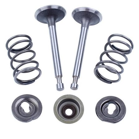 Inntaks- og eksosventilfjær-stemmetetningssett Kompatibelt med Honda GX160 GX200 168F 5,5 hk 6,5 hk Motor Generator