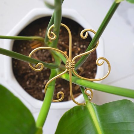5PK Monstera Plantestøttesystem 10,4 cm - Holdbare krokstøtter for sunn vekst, stabilisator for blader og skilpaddeskall, lett å bruke innendørs