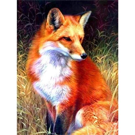 30 x 40 cm, räv Diamond Painting Diamond Broderi Målning Canv