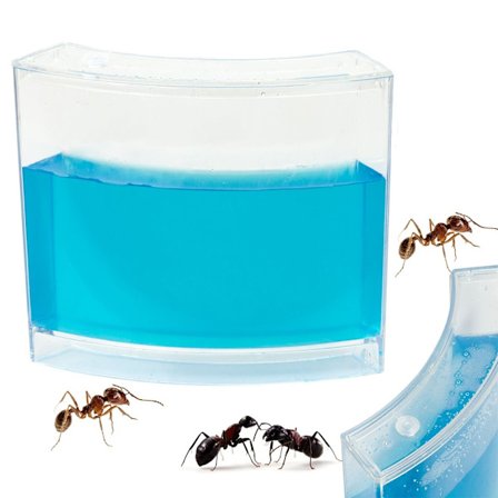 Pedagogisk Gele-Akvarium for Maur – Eksperimentsett