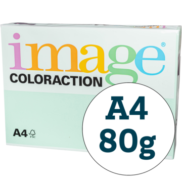 PAPIR COLOR FOREST A4 80G