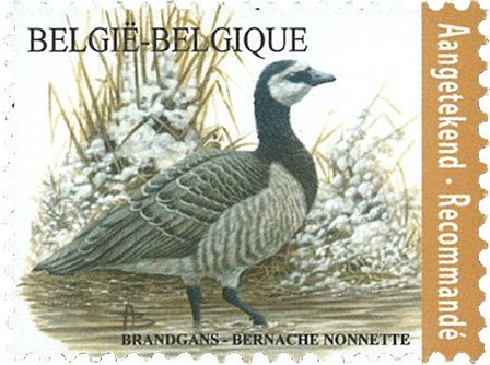 Belgien 2020 - Brandgås - Postfrisk frimærke tegnet af André Buzin