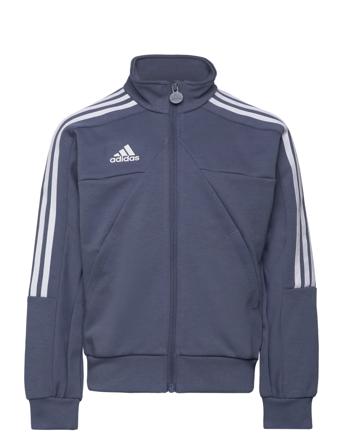 J Hot Ttop Adidas Performance Blue
