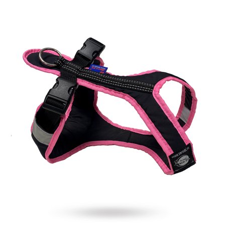 Zero DC - Zero DC Shorter Svart & Rosa - Hundsele