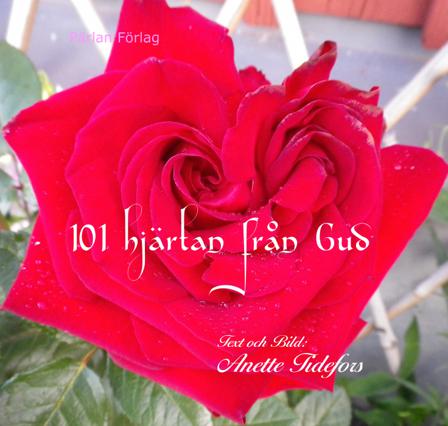 101 hjärtan från Gud - Bok av Anette Tidefors - Inbunden