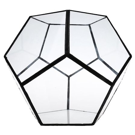 Plante Terrarium Box