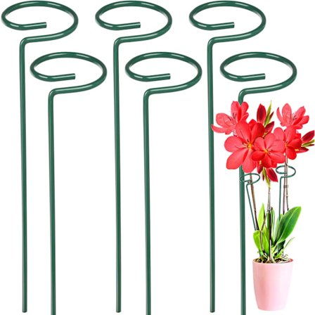 6-pak Blomster Plantestøtte Metal Enkelt Stilk Støtte Have Støtte Amaryllis Orkide Lilje Rose Tomater Mørkegrøn