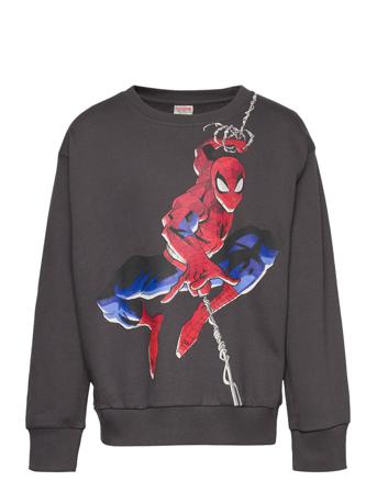 Sweater Placement Spiderman Sweat-shirt Tröja Svart Lindex