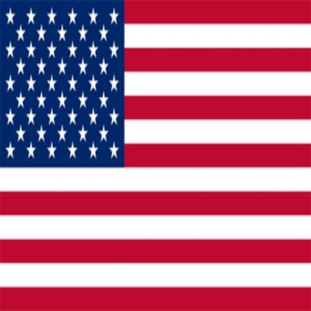 Flag - USA 100