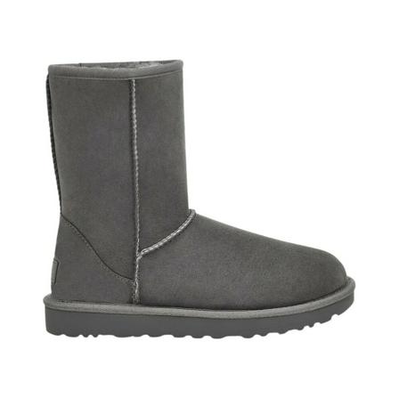 Ugg, Winter Boots Grijs, Dames, Maat:41 EU