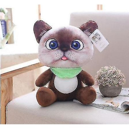 Dukke Pute Katt Plysj Fyllte Leke Dyr Bursdag Barn 20cm