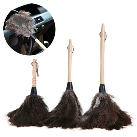 Feather Duster Struds Duster Feather S