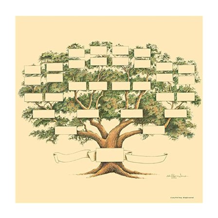 6-generasjons slektstrekart for slektshistorie og aner