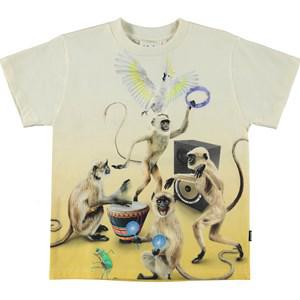 Molo Dancing Monkeys Roxo T-Shirt 128 cm - Tops - 128 cm - Yellow - Junge