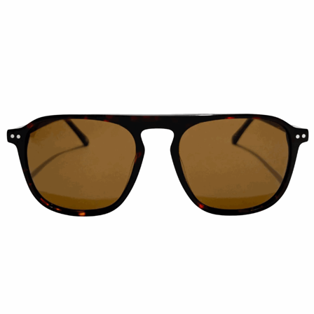 Frank Walton Crane Havanna