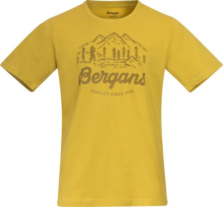Bergans Men's Classic V2 Tee Men short-sleeved sweaters Green M