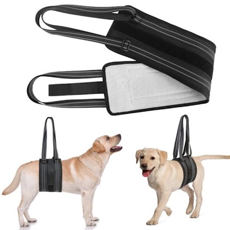 Nyt kæledyrshund gå-hjælpebælte til handicappede ældre hunde, rehabiliteringsplejebælte, gåbælte