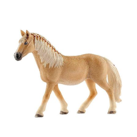 13812 Horse Club Haflingersto Enkel (FMY)