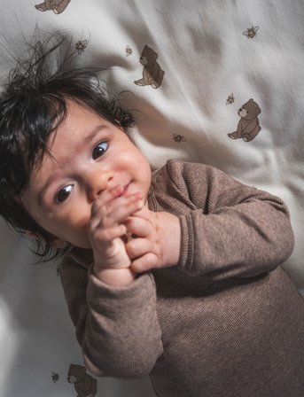 That's Mine Petra Bodystocking - Brown - 86