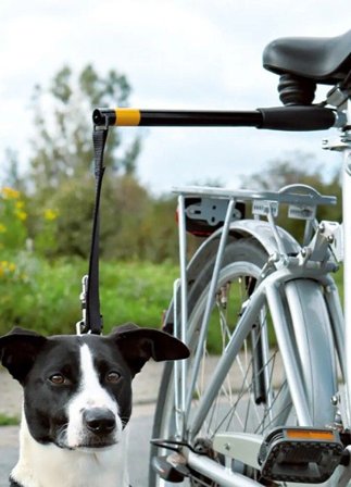 Pawise Pawise Hands Free Doggy Bike Exerciser Leash 0 - Pawise