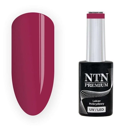 NTN Premium - Gel polish - Passion for Love - Nr207 - 5g UV gel/LED
