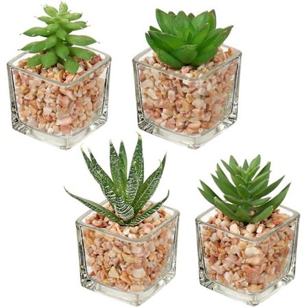4 st konstgjorda suckulenter för bondgårdens våningsdekoration Mindre konstgjorda krukväxter Konstgjorda växter inomhus Bokhylla Dekoration Husväxter 