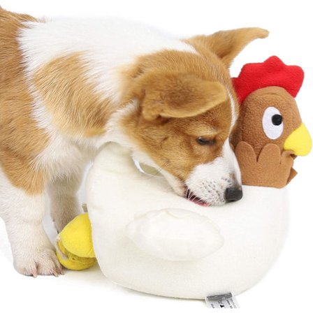 Hundleksak för nosarbete, kyckling som lägger ägg