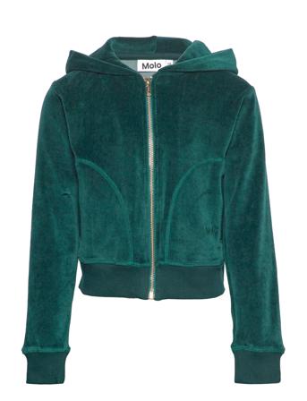 Milla Hoodie Trøje Grøn Molo