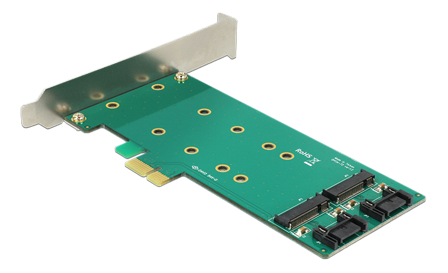 Delock PCI Express Card > 2 x internal M.2 - Diskkontroller - M.2 Card / SATA 6Gb/s - PCIe x1