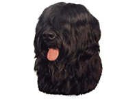 Briard svart - klistremerker