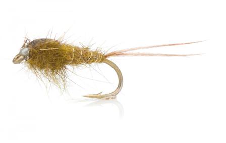 Hare ́s Ear Olive TMC 3761 # 12
