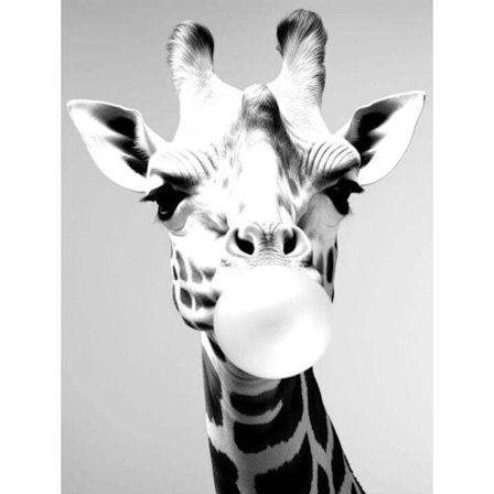 Giraff affisch 40×50 CM