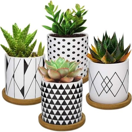 4PCS Blomsterpotte, Mini Keramiske Sukkulente Hagepotter Planter med