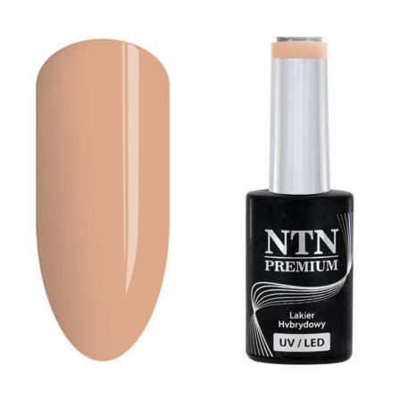 Ntn Premium - Gellack - Topless - Nr16 - 5g Uv-gel/led