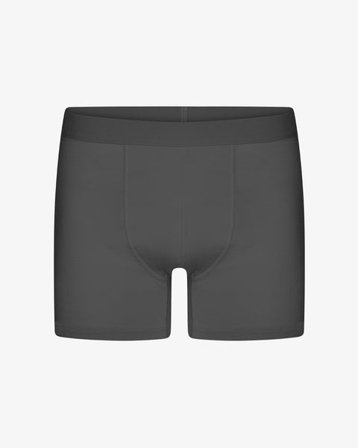 Classic Organic Boxer Briefs - Lava Grey - Male - L