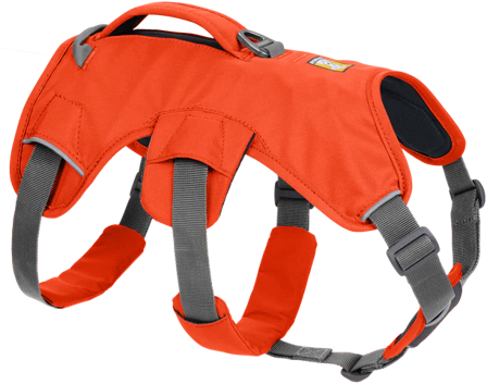 RuffWear Web Master Harness Blaze Orange