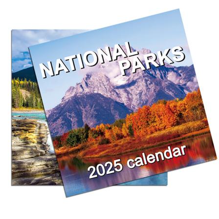 Cheeky Dachshund-kalender 2025 - 12 månaders planerare, väggkalender för hemmet, present