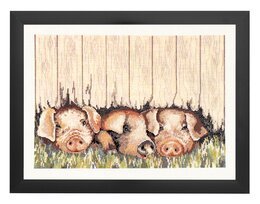 Bild Neugierige Ferkel