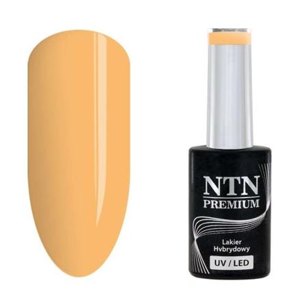 NTN Premium - Gellack - Show - Nr110 - 5g UV-gel / LED