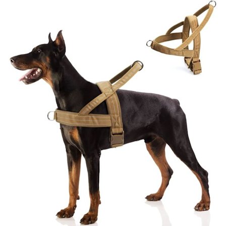 Hundsele No Pull Reflexiv Husdjurssele för Stora Mellanstora Hundar, Justerbar Hundvästsele Mesh Andningsbar med Mjuk Vaddering (M)